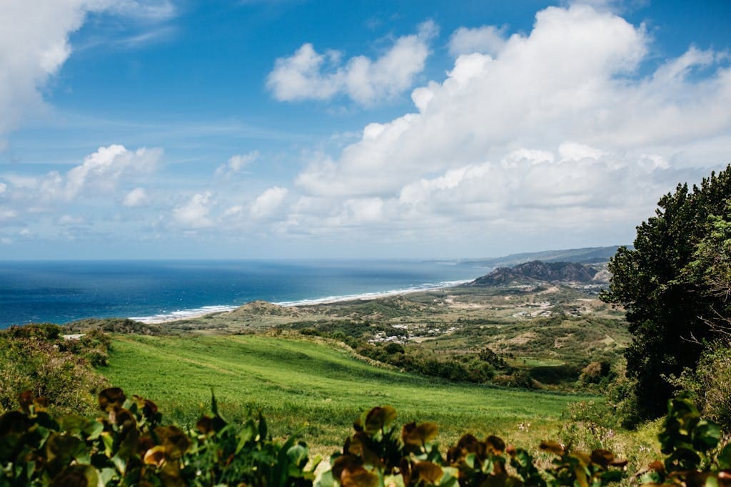 A view of the ocean and green hills